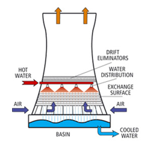 Figure 1 Image