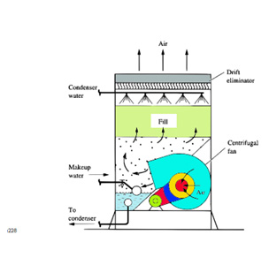 Figure 2 Image