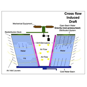 Figure 4 Image